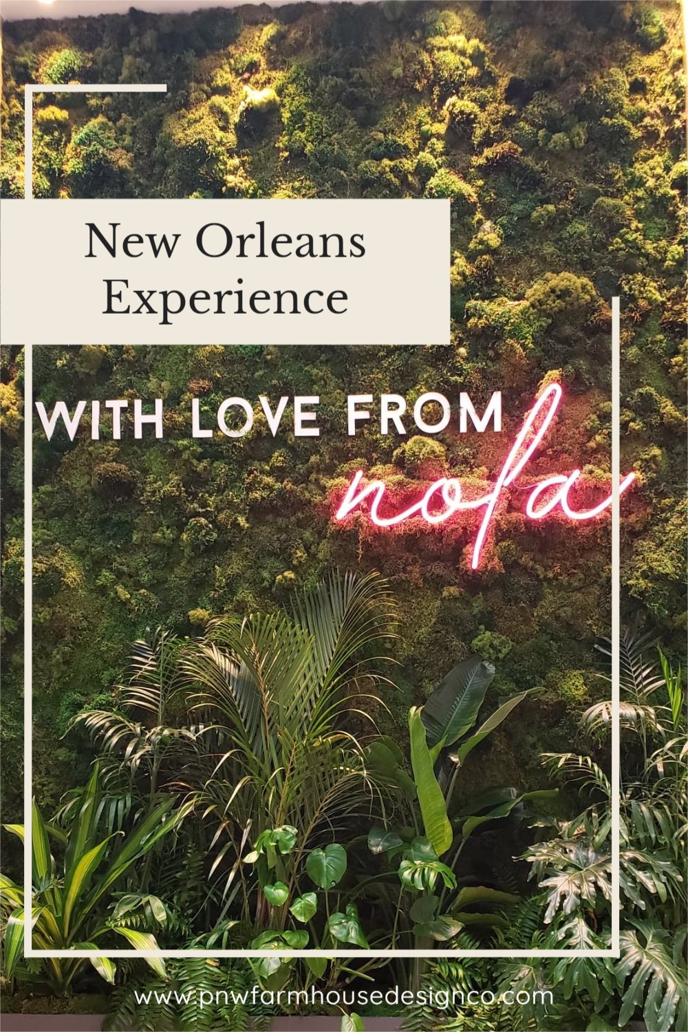 New Orleans Experience